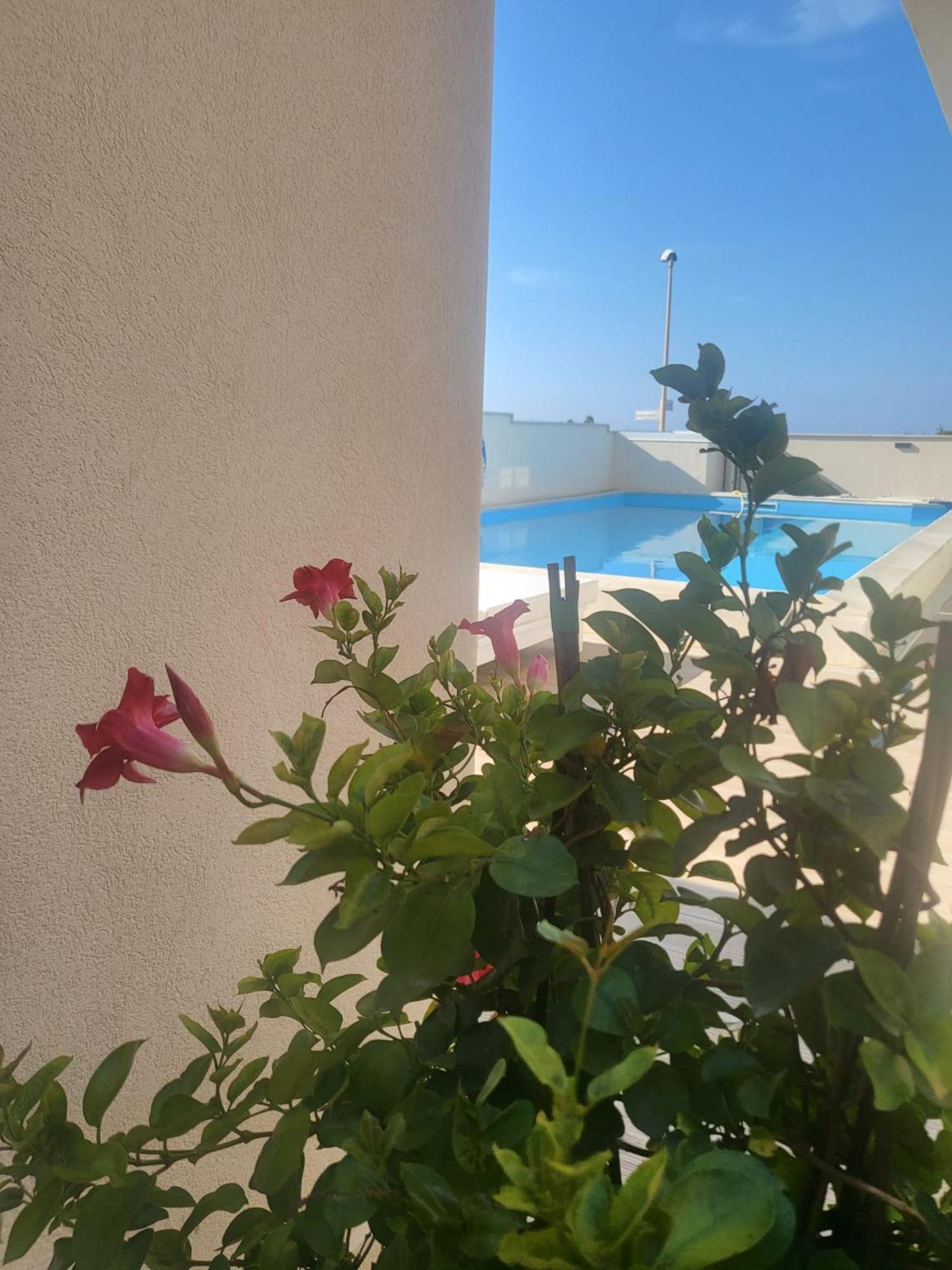 Hotel Casa P. Greco Portopalo Di Capo Passero Exterior foto